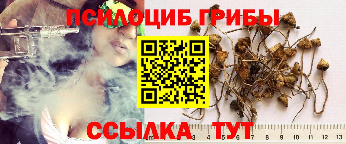 Галлюциногенные грибы Psilocybe  Псилоцибиновые грибы Psilocybine cubensis  Ирбит  сколько стоит  Вход с VPN 