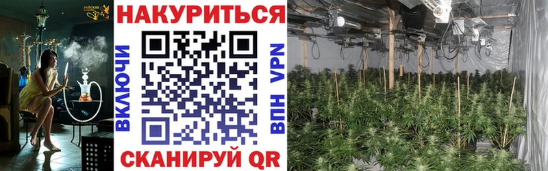 наркошоп Ирбит Каннабис AK-47